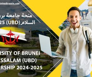 تُعرف جامعة UBD بمناهجها التعليمية المرنة والمبتكرة، حيث يمكن للطلاب تصميم برامجهم الدراسية بما يتناسب مع اهتماماتهم وأهدافهم المهنية. كما تركز الجامعة على البحث العلمي والتطوير، ولديها شراكات دولية مع جامعات مرموقة حول العالم.