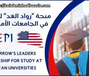 يقدم منحًا دراسية لطلاب المراحل الجامعية الأولى (البكالوريوس) والدراسات العليا (الماجستير) المتفوقين من منطقة الشرق الأوسط وشمال إفريقيا. يهدف البرنامج إلى دعم الطلاب من الفئات الإجتماعية والإقتصادية الأقل حظًا، والذين يتمتعون بإمكانات قيادية قوية ، لكنهم يفتقرون إلى الموارد اللازمة للحصول على تعليم وفق النمط الأمريكي.